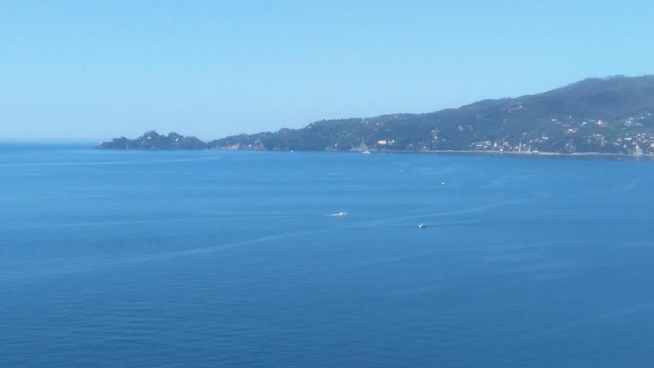 Mare E Vista Portofino - Sea And Portofino View Zoagli Exterior foto