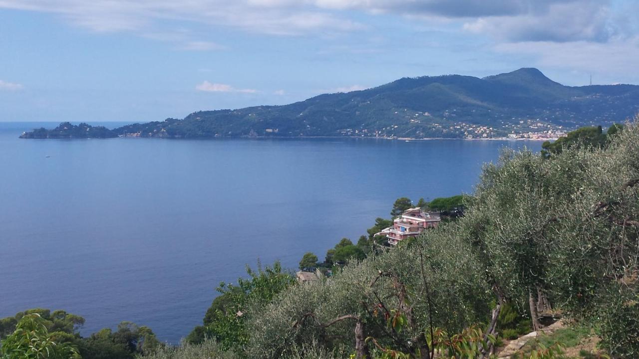 Mare E Vista Portofino - Sea And Portofino View Zoagli Exterior foto