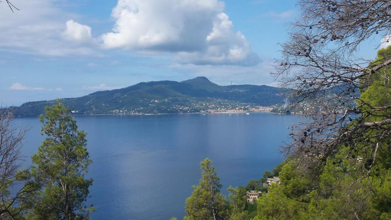 Mare E Vista Portofino - Sea And Portofino View Zoagli Exterior foto