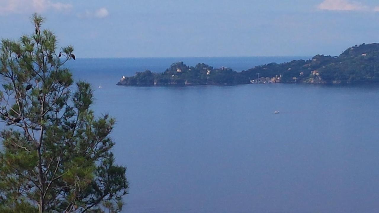 Mare E Vista Portofino - Sea And Portofino View Zoagli Exterior foto